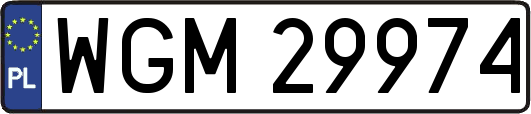 WGM29974
