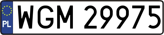 WGM29975