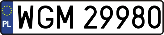 WGM29980