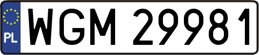 WGM29981