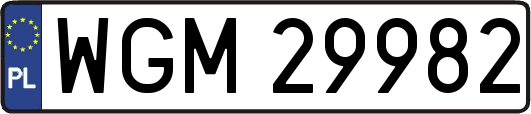 WGM29982