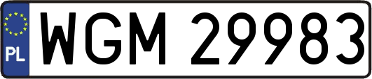 WGM29983