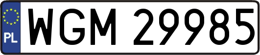 WGM29985