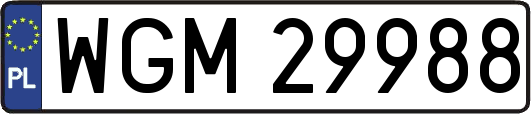 WGM29988