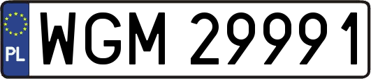 WGM29991