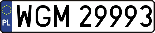WGM29993