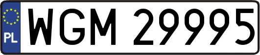 WGM29995