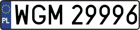 WGM29996