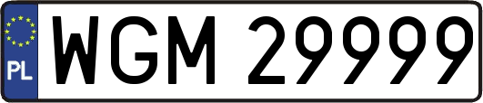 WGM29999
