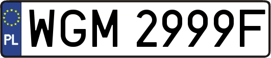 WGM2999F