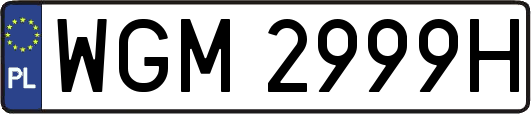 WGM2999H
