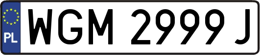 WGM2999J