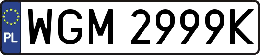 WGM2999K