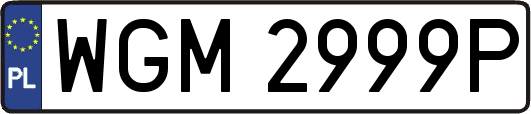 WGM2999P