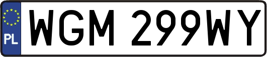 WGM299WY