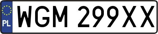 WGM299XX