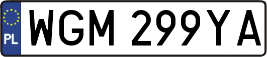 WGM299YA