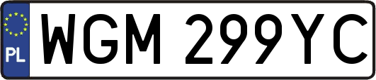 WGM299YC