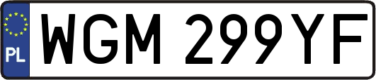 WGM299YF