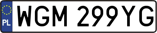 WGM299YG