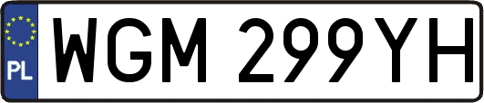 WGM299YH
