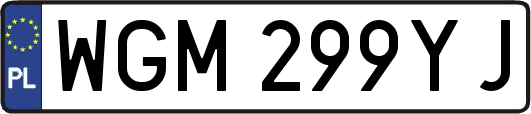 WGM299YJ