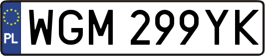 WGM299YK