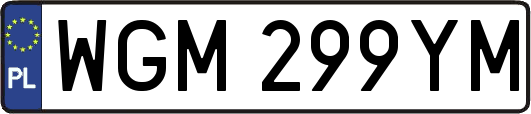 WGM299YM