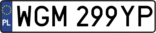 WGM299YP