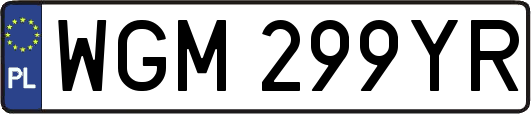 WGM299YR