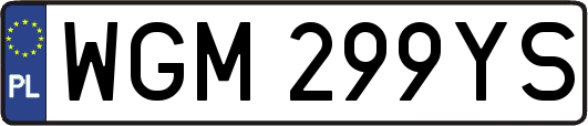 WGM299YS