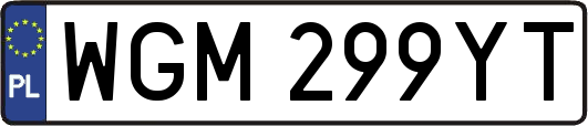 WGM299YT