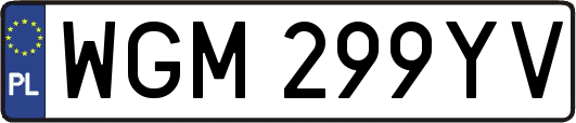 WGM299YV