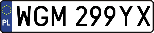 WGM299YX