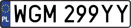 WGM299YY