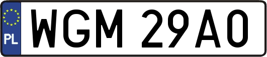 WGM29A0
