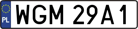 WGM29A1