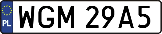 WGM29A5