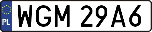 WGM29A6