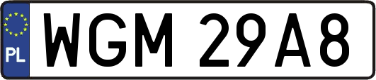 WGM29A8