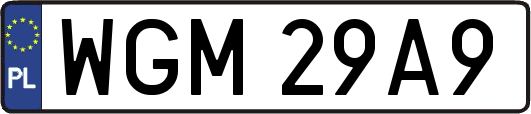 WGM29A9
