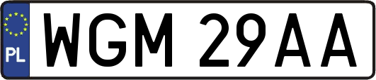WGM29AA