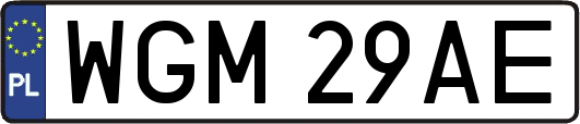 WGM29AE