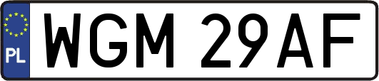 WGM29AF