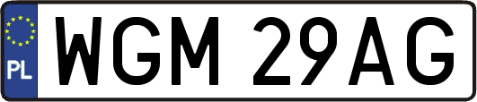 WGM29AG
