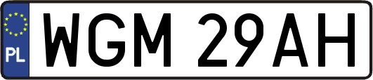 WGM29AH