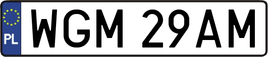 WGM29AM