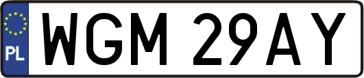 WGM29AY