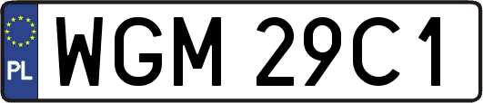 WGM29C1
