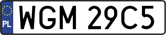 WGM29C5